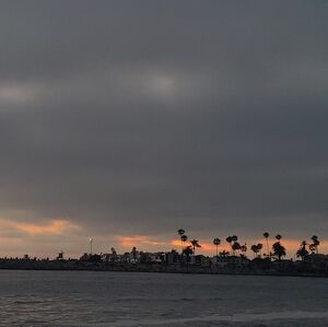 Meet your Posher, Joanne